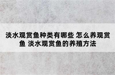 淡水观赏鱼种类有哪些 怎么养观赏鱼 淡水观赏鱼的养殖方法